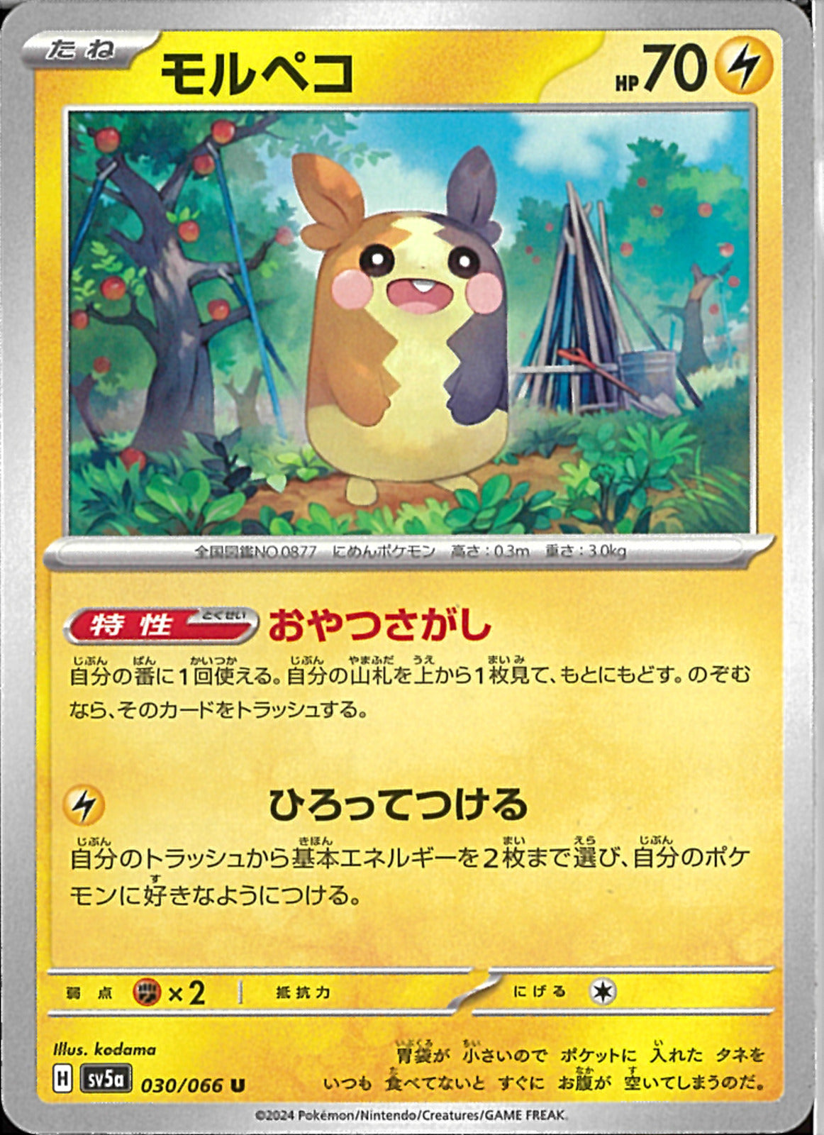 02099996724892_1.jpg?v=1722046232