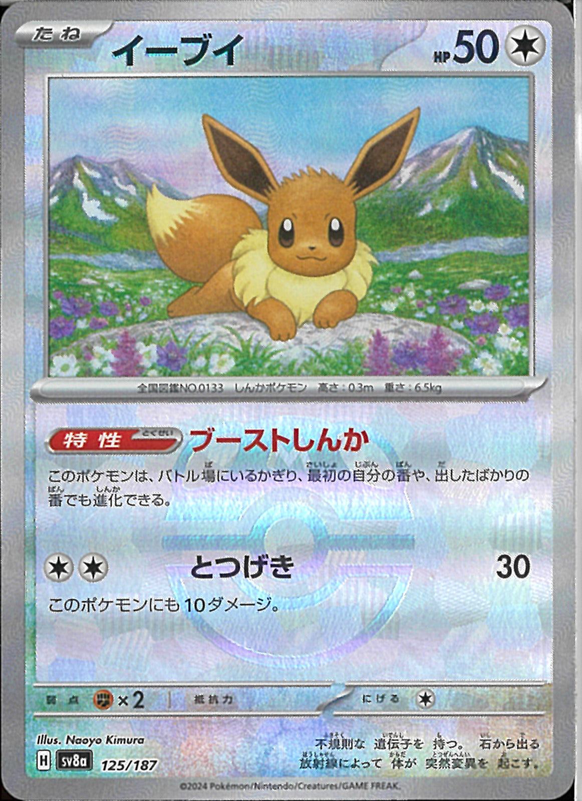 2013 花札 ポケモンハナフダ イーブイ 進化形 psa10 ブイズ 任天堂 2013 花札 ポケモンハナフダ イーブイ 進化形 psa10 ブイズ SAR
