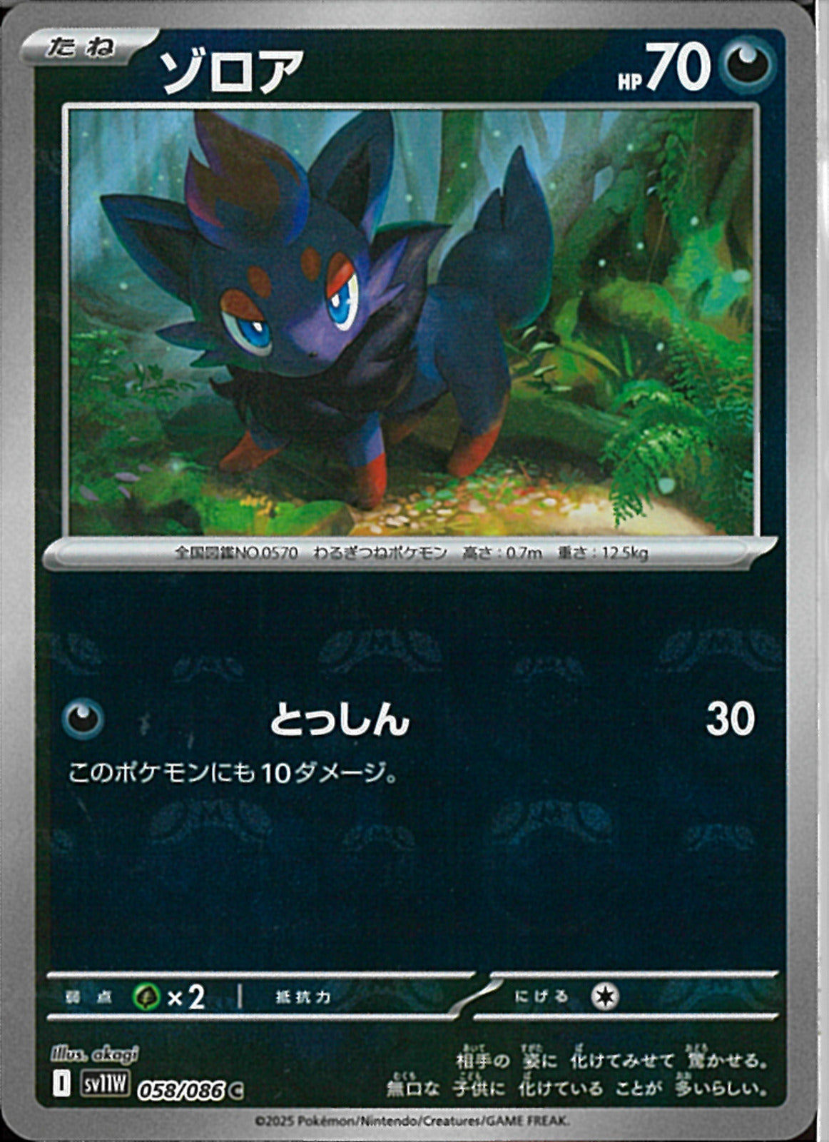 C)ゾロア(058/086/マスターボールミラー)