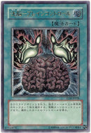 AR)洗脳-ブレインコントロール)(アルティメットレア)/TLM-JP038)