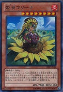 SR)姫葵マリーナ)(スーパーレア)/SHSP-JP040)