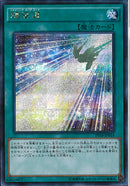 SE)輝望道)(シークレットレア)/PP18-JP014)