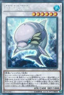 CR)白闘気海豚)(コレクターズレア)/CP17-JP019)