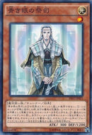 N)青き眼の祭司(共通))(ノーマル)/45644898)