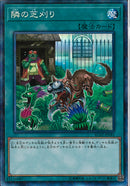 CR)隣の芝刈り)(コレクターズレア)/RC02-JP041)