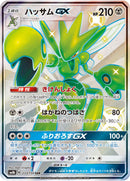 SSR)ハッサムGX(233/150)
