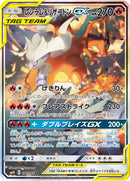 SR)レシラム&リザードンGX(097/095)