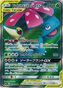 SR)フシギバナ&ツタージャGX(065/064)