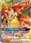 RR)リザードン&テールナーGX(008/064)