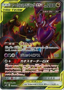 SR)アーゴヨン&アクジキングGX(101/095