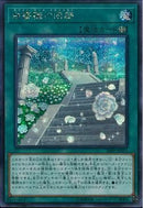 SE)白薔薇の回廊)(シークレットレア)/20PP-JP011)