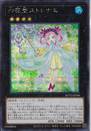 SE)六花聖ストレナエ)(シークレットレア)/ROTD-JP046)