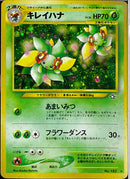 ★)キレイハナ(あまいみつ/フラワーダンス)