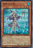 SR)聖殿の水遣い)(スーパーレア)/DBGC-JP026)