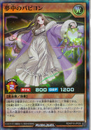 SR)夢中のパピヨン