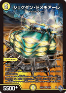 シェケダン・ドメチアーレ(DM22RP1 S2/S8)