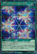 SEC)万華鏡-華麗なる分身-