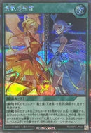 SEC)蒼救の照覧