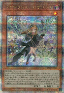 QCSE)アロマリリスーロザリーナ)(クォーターセンチュリーシークレットレア)/PHNI-JP022)