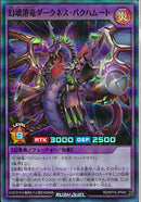 SR)幻壊溶竜ダークネス・バクハムート