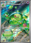 AR)ランクルス(075/071)