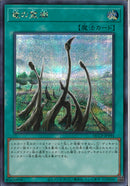 SE)竜の霊廟)(シークレットレア)/QCCP-JP194)