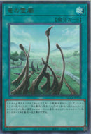 UR)竜の霊廟)(ウルトラレア)/QCCP-JP194)