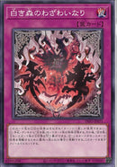 N)白き森のわざわいなり)(ノーマル)/INFO-JP071)