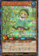 SEC)ベリーフレッシュ･リッチ(目開き)