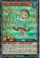 SR)ベリーフレッシュ･リッチ