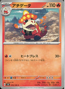 C)アチゲータ(018/106)