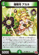 爆翠月 アカネ(24RP4R21/76)R