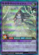 SR)栄華夢中のシルビクス