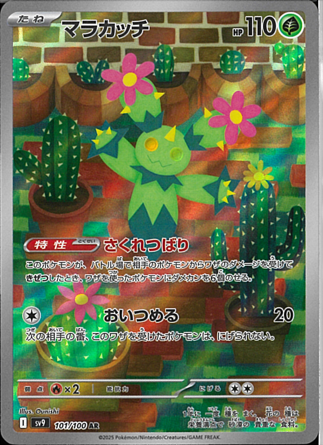 AR)マラカッチ(101/100)