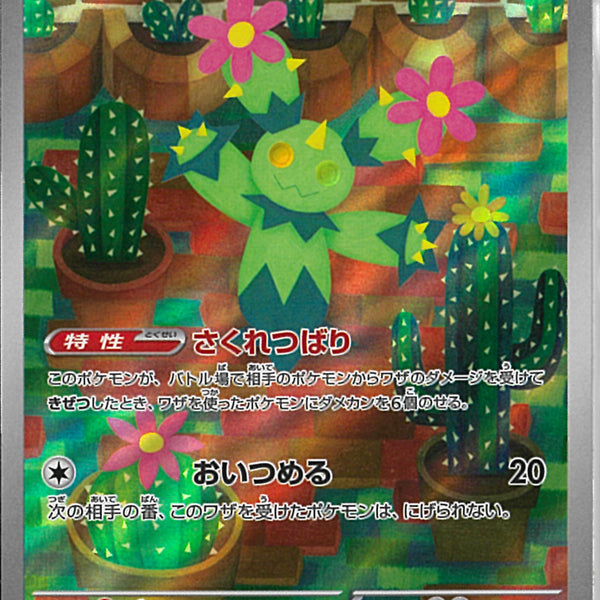 AR)マラカッチ(101/100)