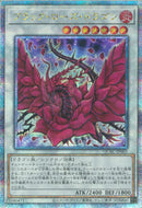 QCSE)ブラック･ローズ･ドラゴン)(クォーターセンチュリーシークレットレア)/QCAC-JP003)