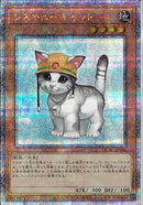 QCSE)レスキューキャット)(クォーターセンチュリーシークレットレア)/QCAC-JP006)