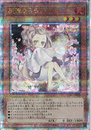 QCSE)灰流うらら(絵違い))(クォーターセンチュリーシークレットレア)/QCAC-JP050)