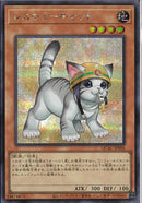 SE)レスキューキャット(絵違い))(シークレットレア)/QCAC-JP006)