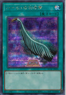 SE)ハーピィの羽根帚(絵違い))(シークレットレア)/QCAC-JP024)