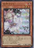 UR)灰流うらら)(ウルトラレア)/QCAC-JP050)