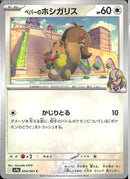 C)ペパーのホシガリス(054/063)