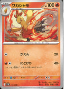 C)ワカシャモ(019/098)