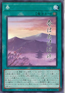 N)春)(ノーマル)/DUAD-JP073)