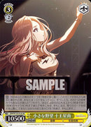 小さな野望　十王星南(W124-013)SR