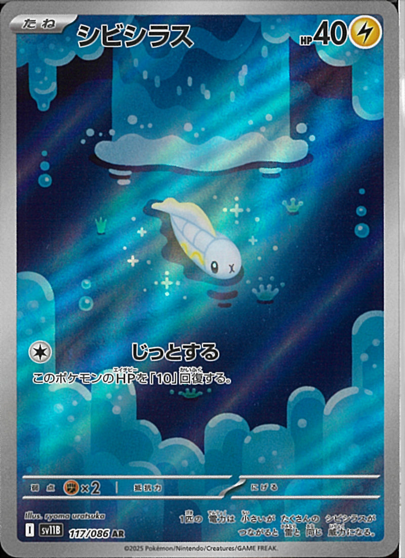 AR)シビシラス(117/086)