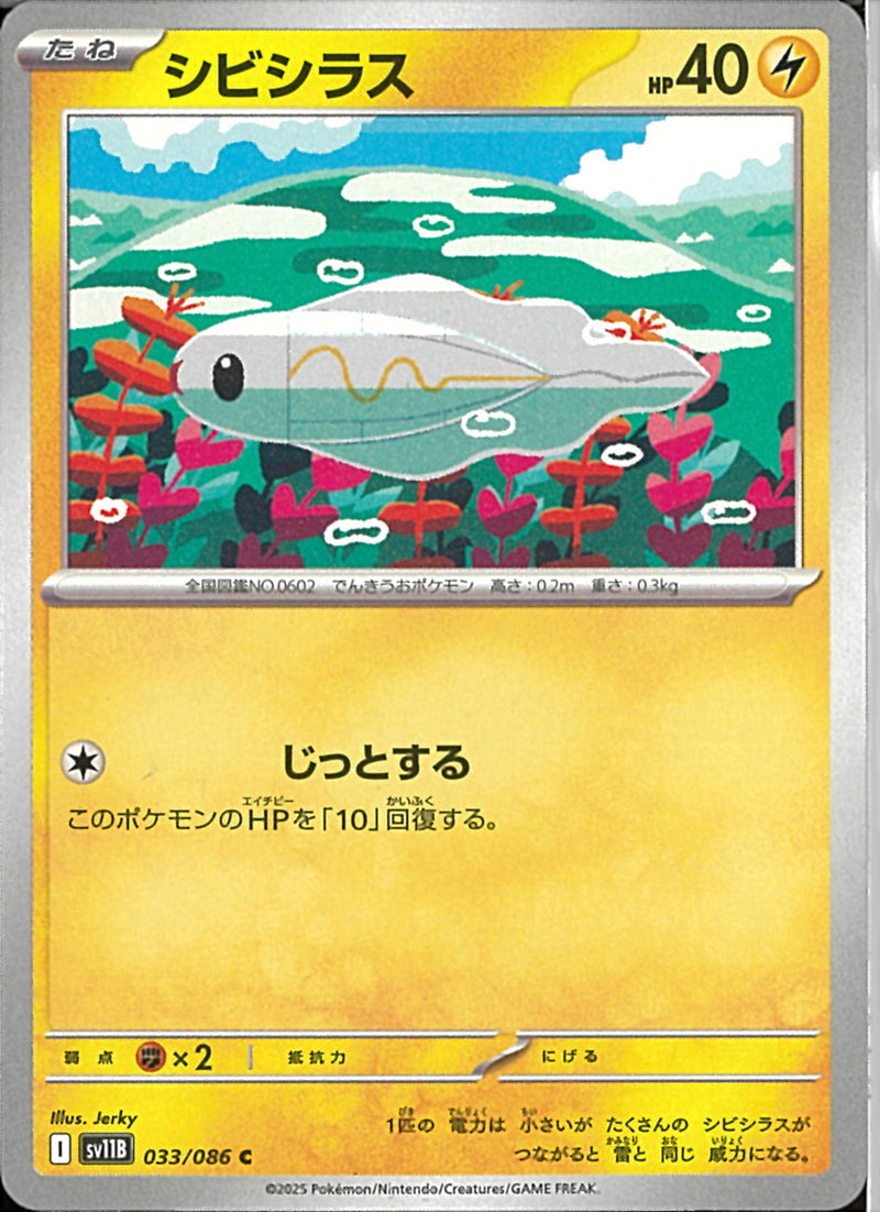 C)シビシラス(033/086)