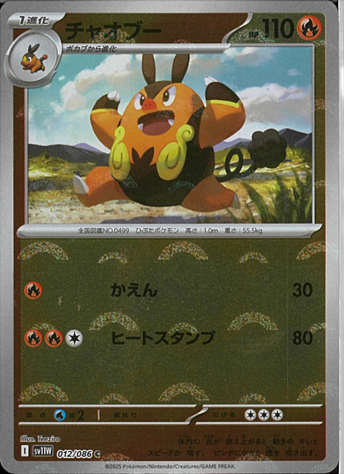 02099997727492_1_1100x.jpg?v=