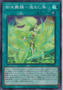 SR)御巫舞踊-迷わし鳥)(スーパーレア)/TTP1-JP071)