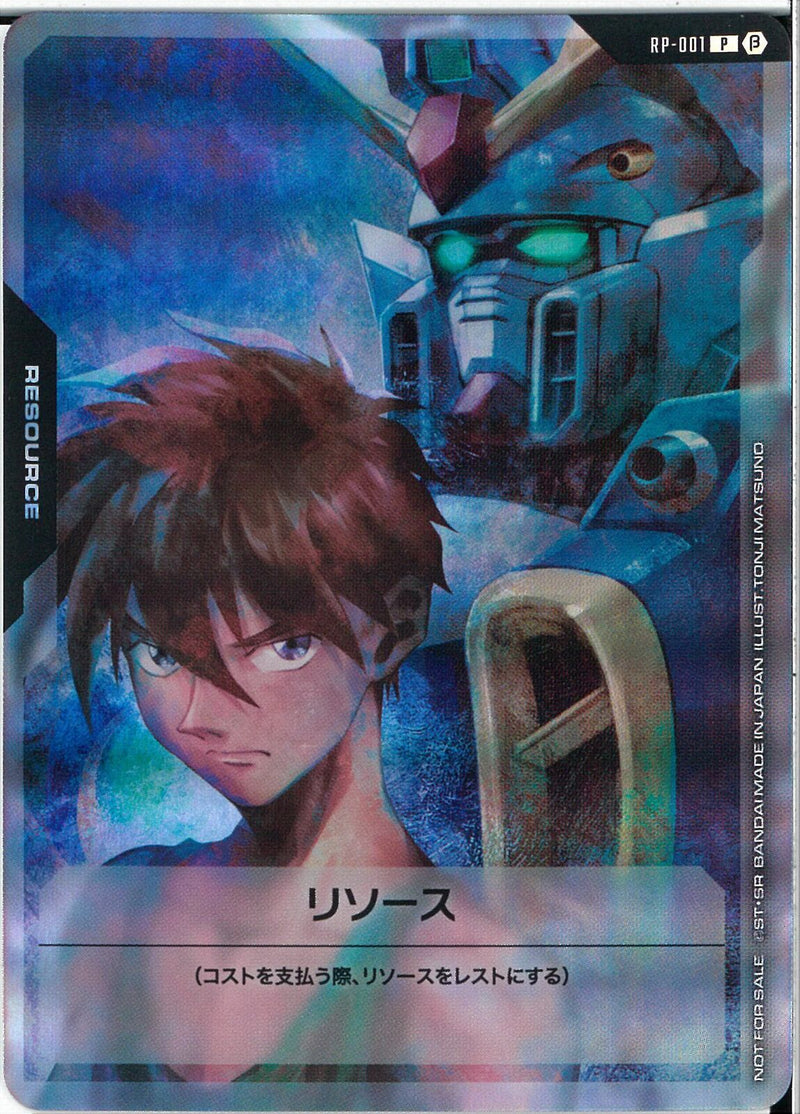 P)リソース(RP-001)
